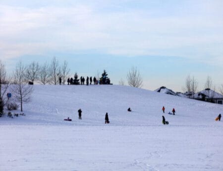 Embrace the Chill Tobogganing is a key part of fun Edmonton winter activities