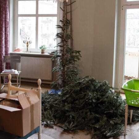 Holiday Cleanup post-holiday cleanup with Timesquared